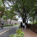 더 남산 이미지