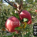 기범농장 네이버블로그