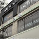 시바견 전문 가도켄넬 | 시바견 털빠짐 시바이누 분양가 특징