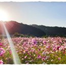 소통과 힐링의 시창작 이미지