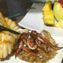 큐브쇼노래연습장 이미지