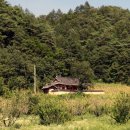 산천정사(山泉精舍) 이미지