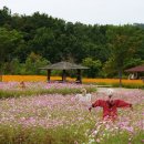 허수아비 이미지