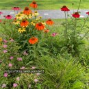 동빙고(근린공원) 이미지