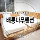 배롱나무 독채스테이 | [제주도 /서귀포시] 배롱나무독채스테이펜션 솔직후기