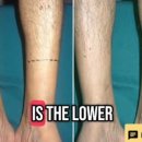 서구-01-142 이미지