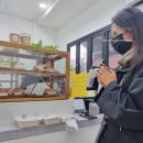 곽가네농장 | [일상 블로그] 영화 2편에 청약 도전에 회식에 핑크 뮬리까지 바쁘다 바빠 현생 10월 일기(2)