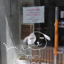 똥강아지 애견 이미지