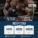 데시앙휘트니스 이미지