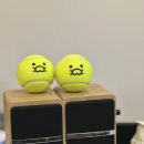 테니스플러스
