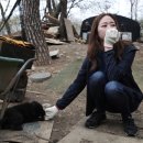 김효진농장 중앙일보