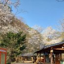 에코밸리 - 시흥시 호현로85번길 5 | 홍천 오토캠핑장 에코밸리 vs 주변 캠핑장 — 자연체험 프로그램 비교