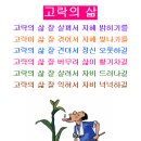 애락의원 Daum카페