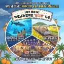 바이크아레나 | [제주/성산→서귀포] 부모님 모시고 떠난 제주 3박 4일 제주도 동남쪽 여행 둘째 날 ② 비가 걷히자...