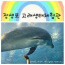 고래이야기 | [아이랑 울산 여행] 장생포 고래생태체험관 후기 - 아이랑 실내 가볼 만한 곳