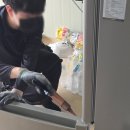 그린라인대전충남센터