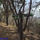 금곡역~천마산~사릉역(26.03.14) 28km. 44,421보 이미지