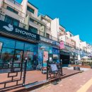 스노우폭스제주 이미지