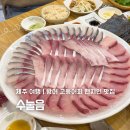 수눌음 제주 대정 <b>수눌음</b> 방어 고등어회 현지인 맛집