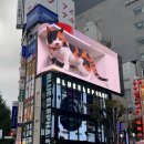 신주쿠야 이미지