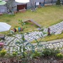 스토리펫 이미지