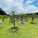 비석공원길 이미지