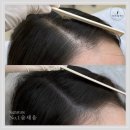 마음에 점을 찍다 이미지