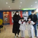 용인대 버들 태권도 이미지