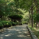 대구시종합복지회관 이미지