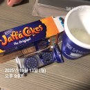 정도(태권도) | [영국 교환학생] Ep8. 영국에서 태권도 배우기