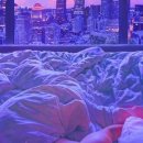 채운[chaewoon] 네이버블로그