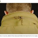 샤크 소프트 이미지