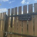 리니스 하우스 | 강아지 독채펜션 강화도 리니스 하우스 (서비스 최강)