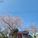 위미의원 이미지