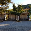 성주자연오토캠핑장 이미지