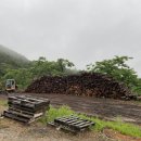 소리산참숯굽는마을 이미지