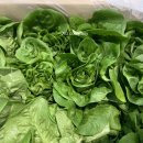 필상농장 이미지