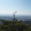 수석이용원 이미지
