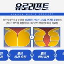 유로보이지 이미지