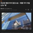 中공장 폐쇄 이어 집단소송…애플 주가 이달 12% ‘뚝’ 이미지
