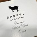 올어바웃염소