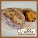 안녕 깜빠뉴 티스토리