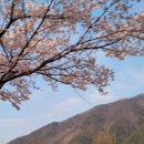 만금사