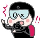 다이브투게더
