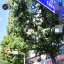 토성약국 이미지