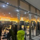 웰리스 휘트니스 이미지