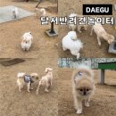 봉화재 반려견놀이터화장실 | 대구 애견동반 가볼만한곳 달서반려견놀이터 (+ 입장료 이용방법 주차)