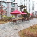 세종공인중개사사무소 이미지