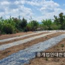 진하메디칼 네이버블로그