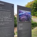 장미로또 이미지